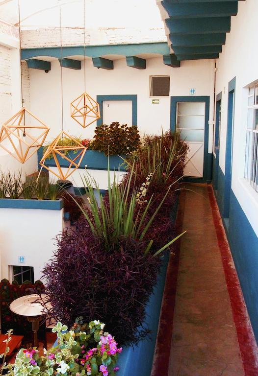 케레타로 Blue Bicycle House 호스텔 외부 사진